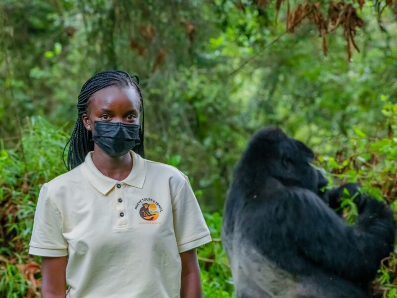 Is Uganda Still the Best Place for Gorilla Trekking in 2026?