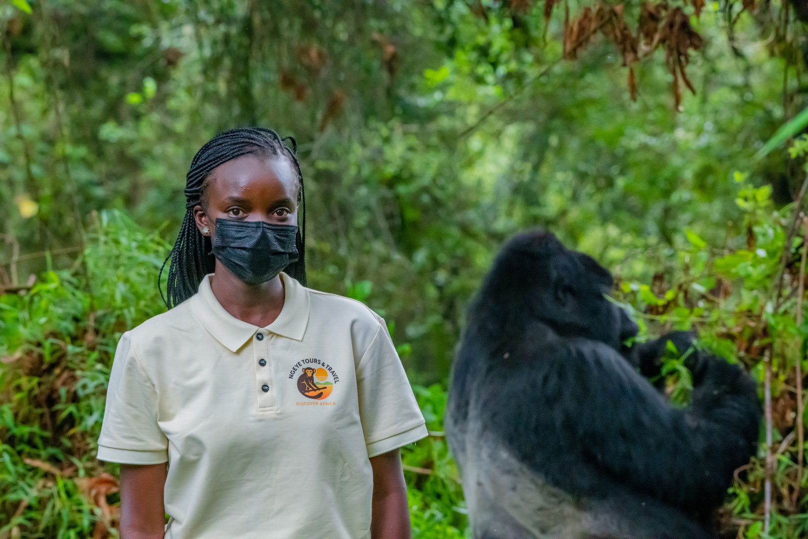 Is Uganda Still the Best Place for Gorilla Trekking in 2026?