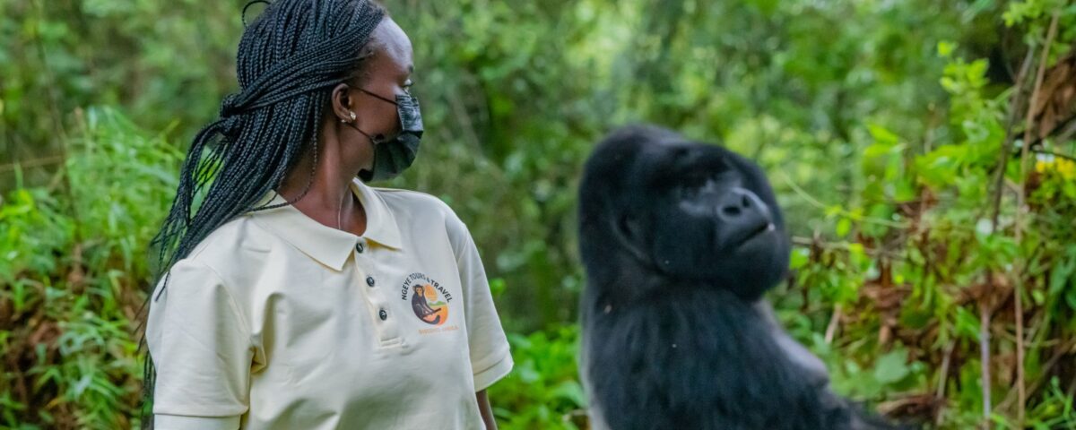 5 Day Gorilla, Chimpanzee & Tree Climbing Lions Safari