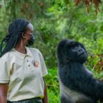 5 Day Gorilla, Chimpanzee & Tree Climbing Lions Safari