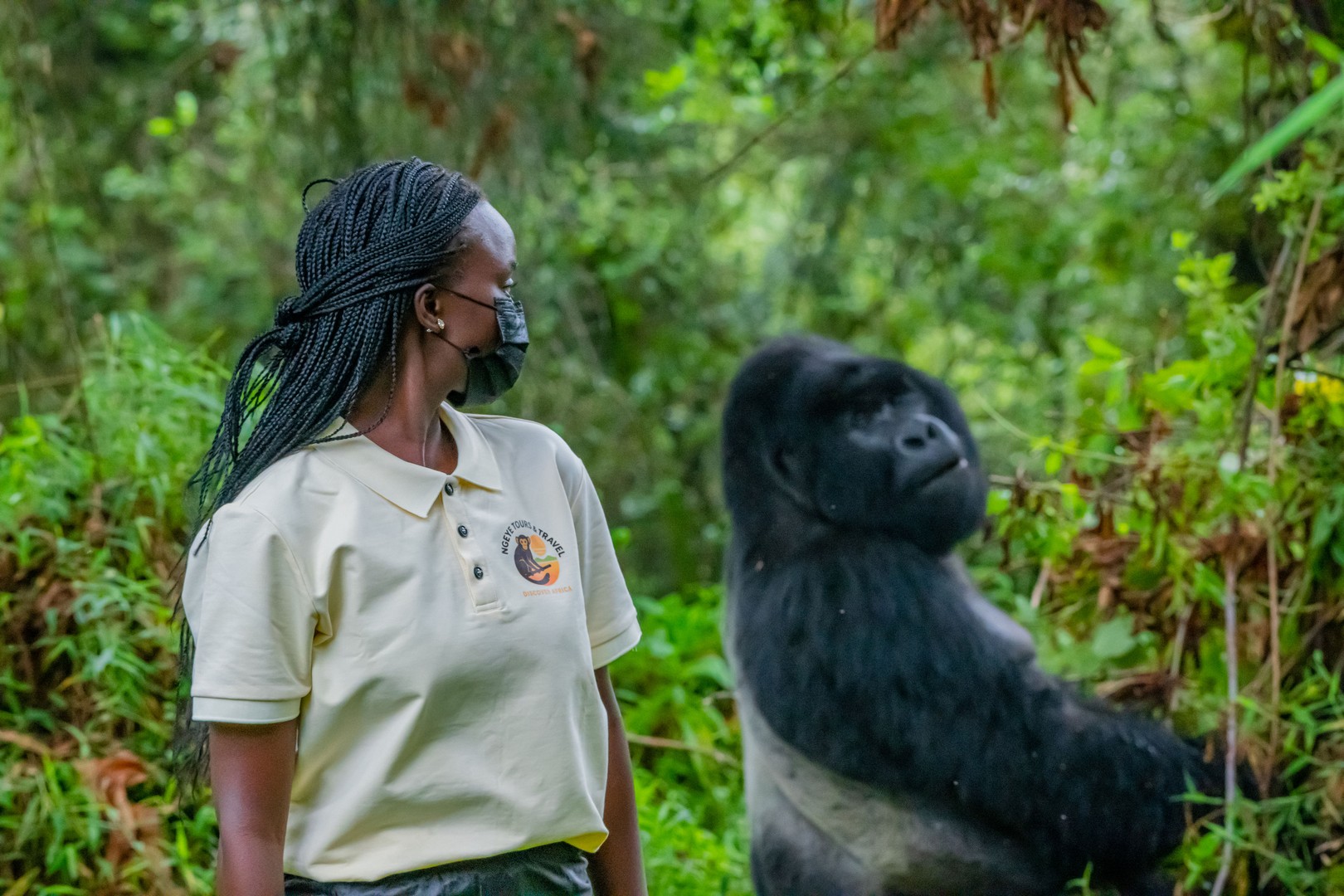 5 Day Gorilla, Chimpanzee & Tree Climbing Lions Safari
