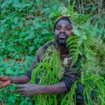 Batwa in Bwindi Forest