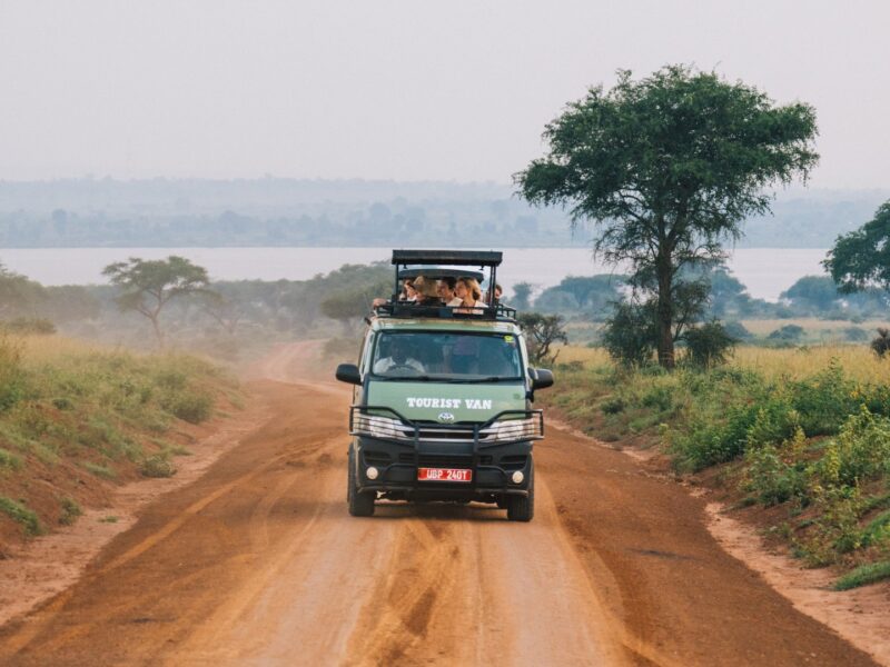 Night Game Drives in Uganda