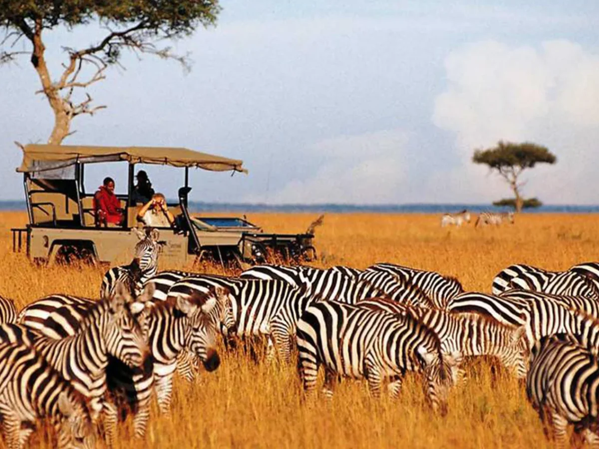 6 Days Northern Kenya Wildlife Safari Adventure 2026/2027