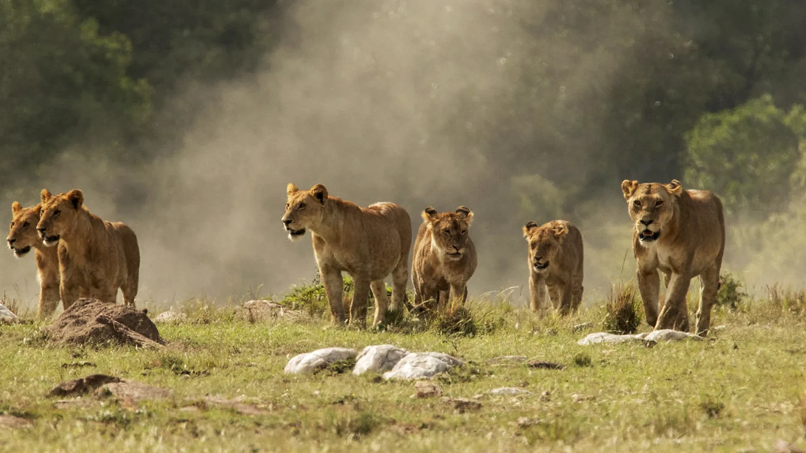 7 Days Kenya Great Rift Valley Safari