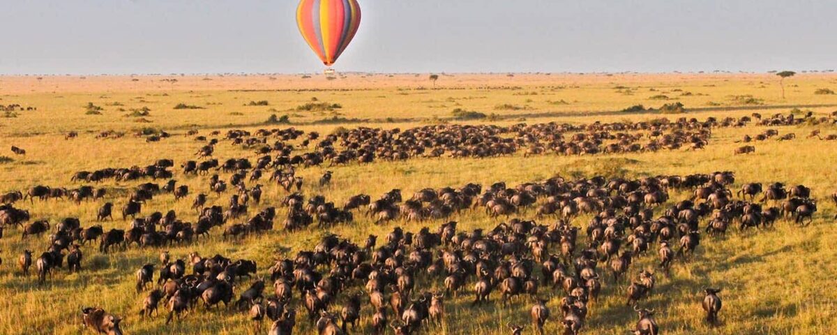 9 Days Masai Mara Migration Safari