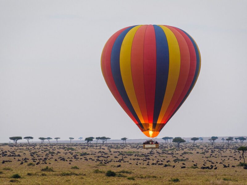 5 Days Masai Mara Explorer Safari
