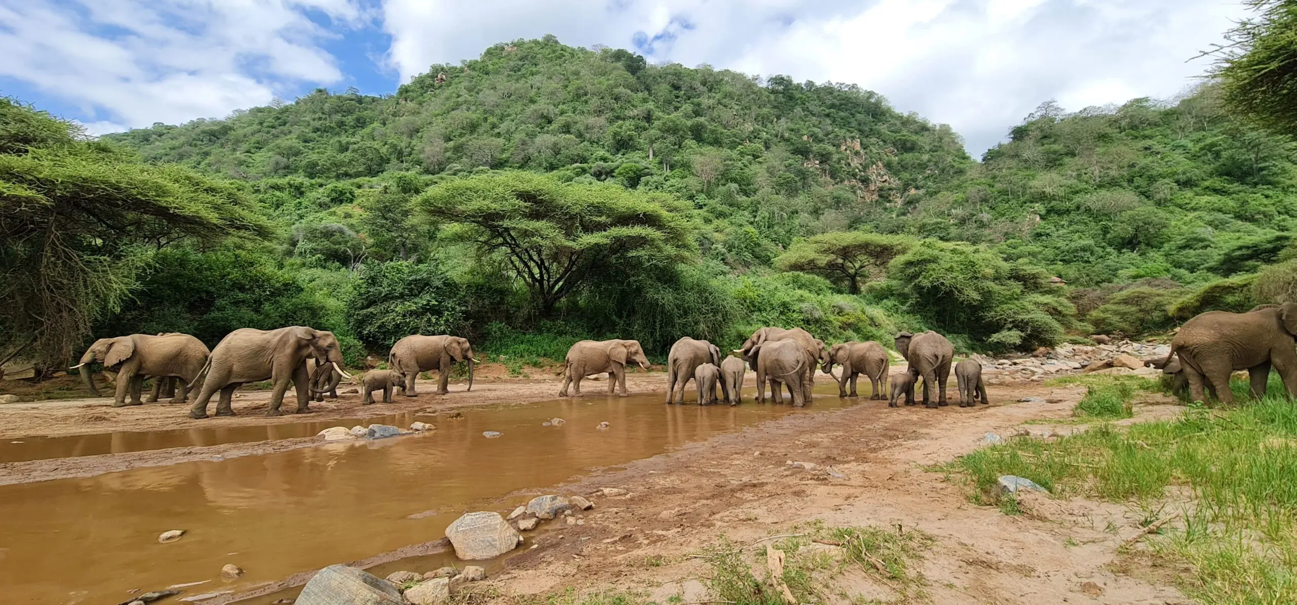 11-Day Unveiling Tanzania's Natural Wonders Comfort