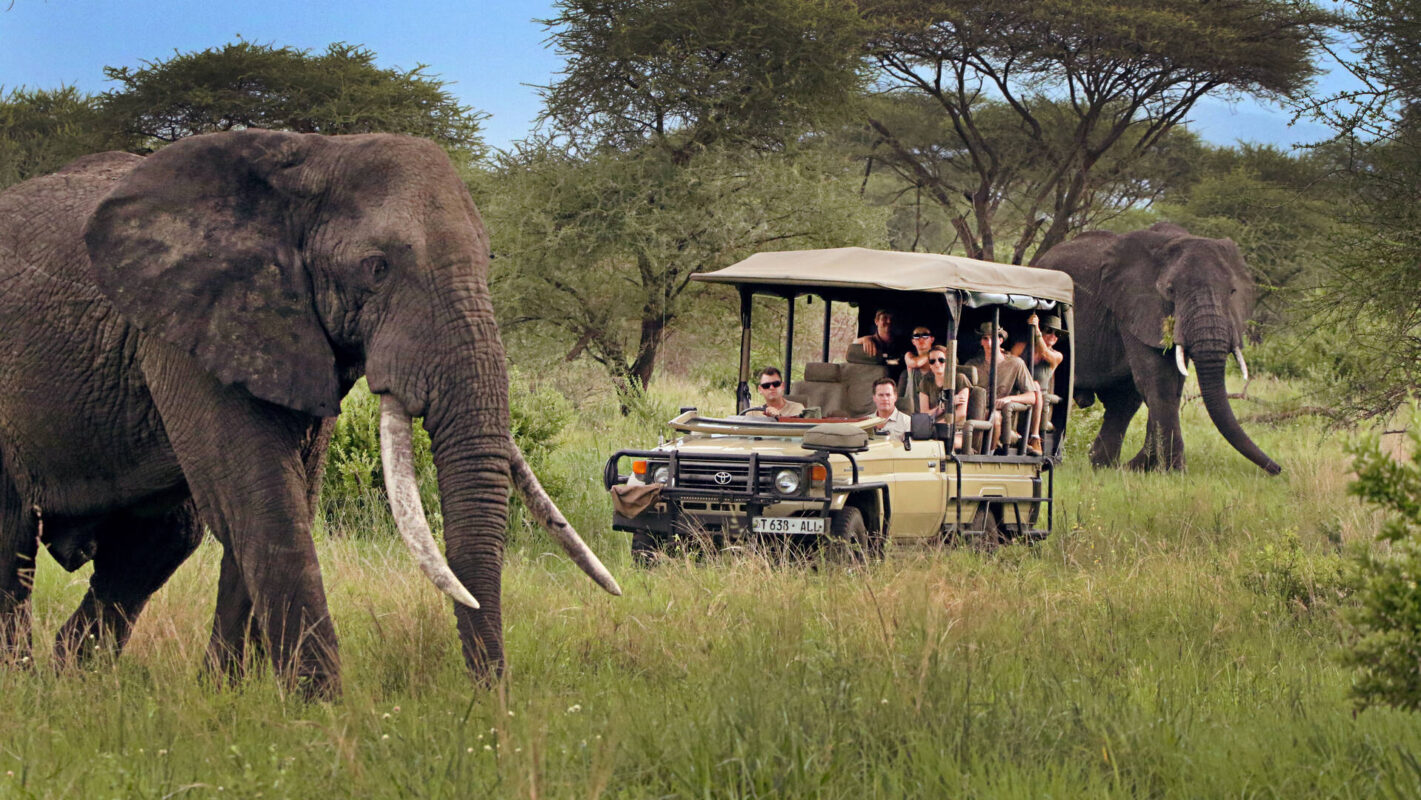 11 Days Kenya Extended Wildlife Safari