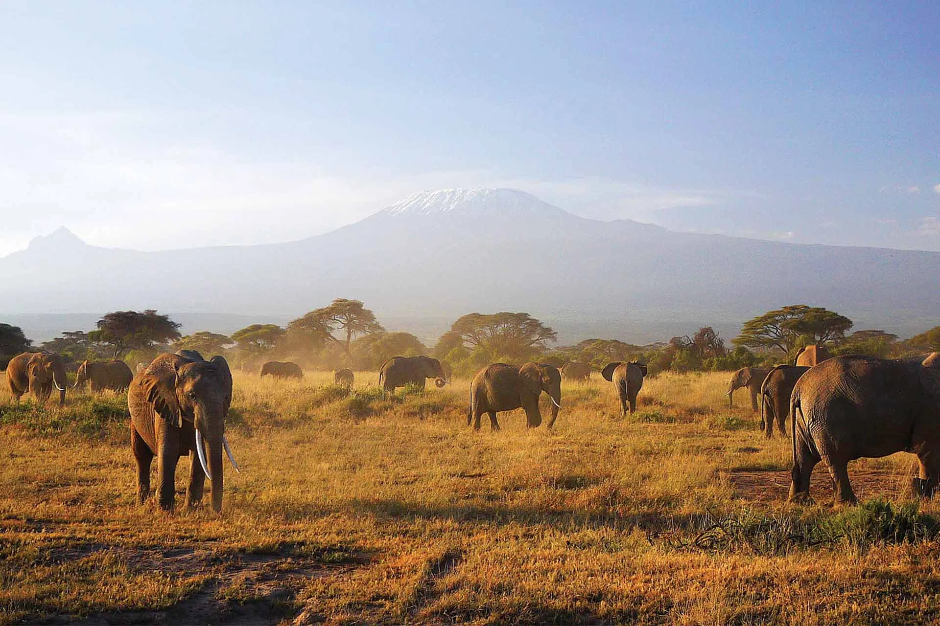 12 Days Kenya Classic and Northern Safari