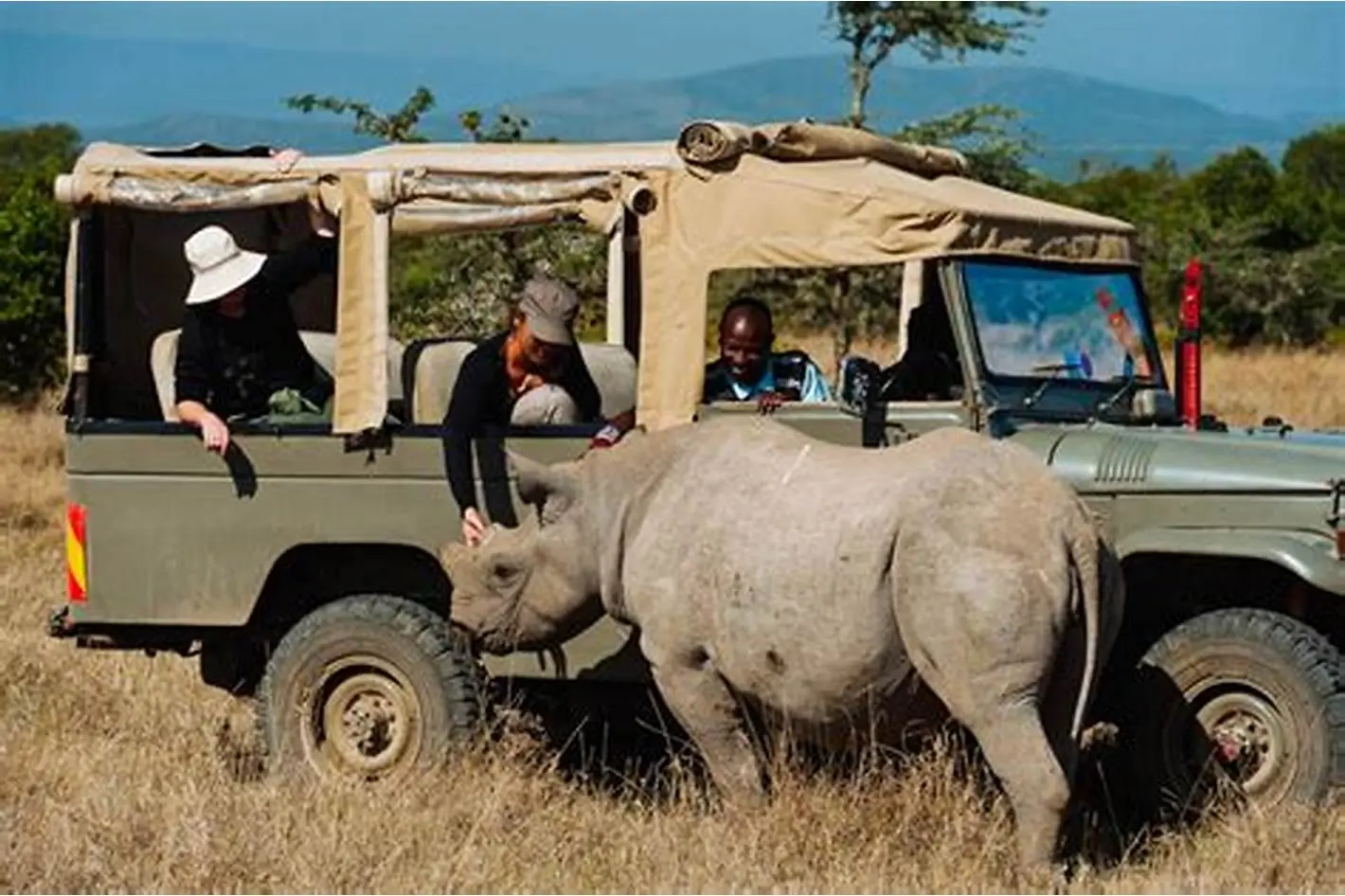 12 Days Kenya Conservation Experience
