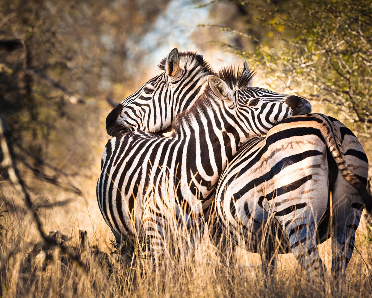 12 Days Kenya Grand Wildlife Safari