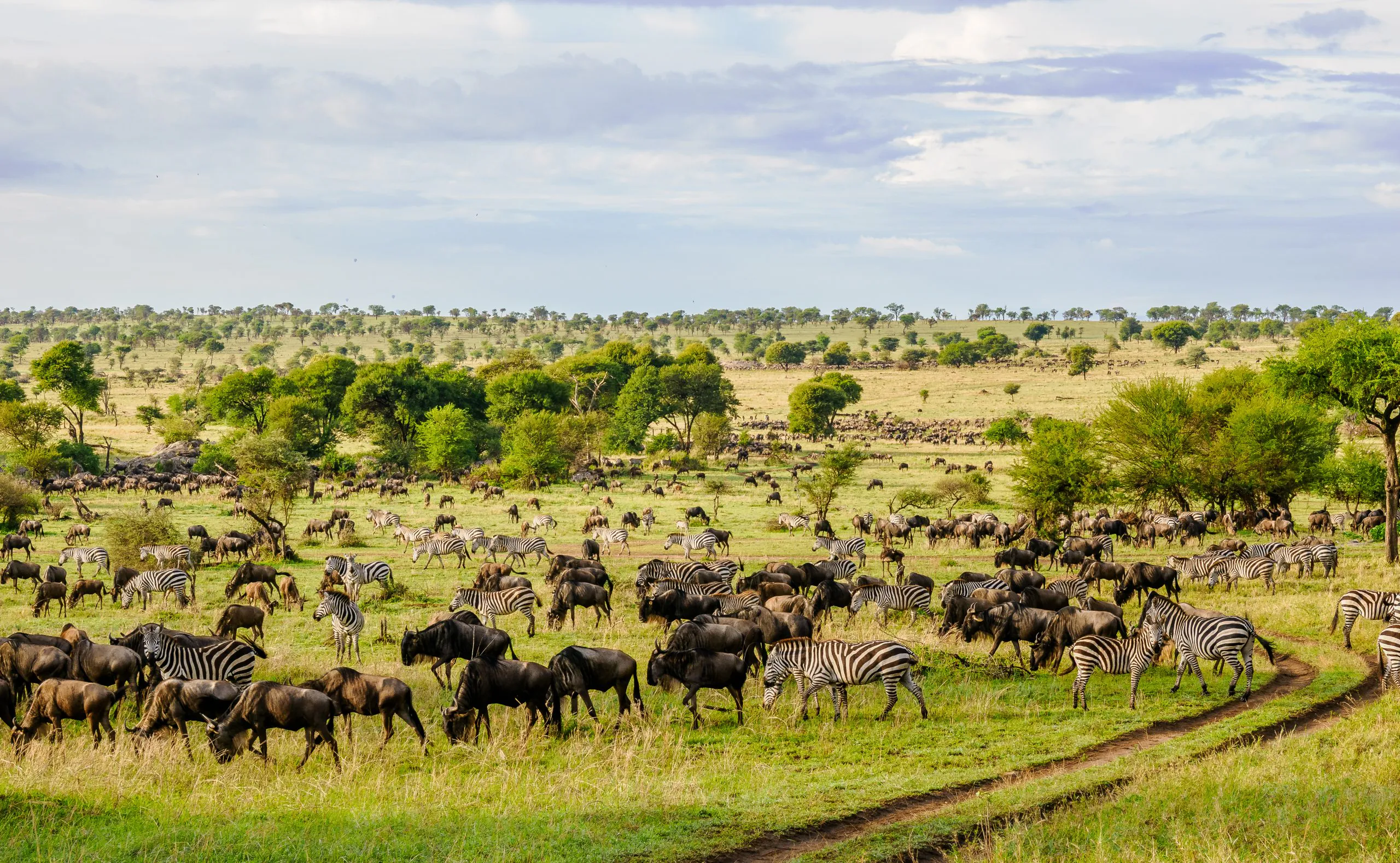 13 Days Kenya Wilderness Safari