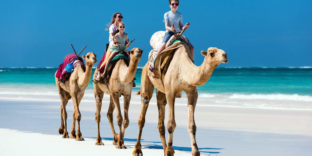 15 Days Kenya Wildlife and Coastal Safari