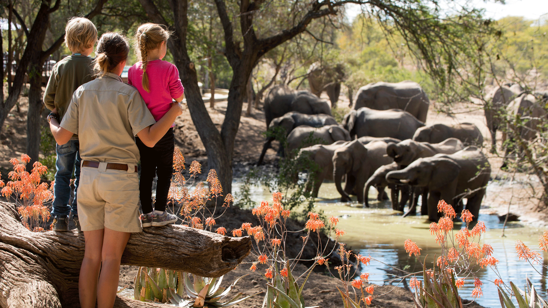 6-Day Tanzania Wildlife Family Safari Holiday Adventure
