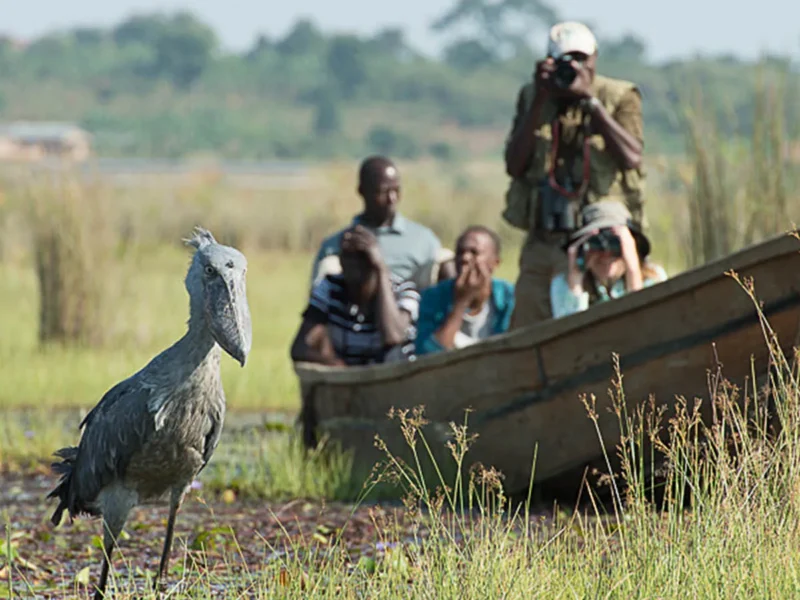 Is Uganda Worth Visiting in 2026