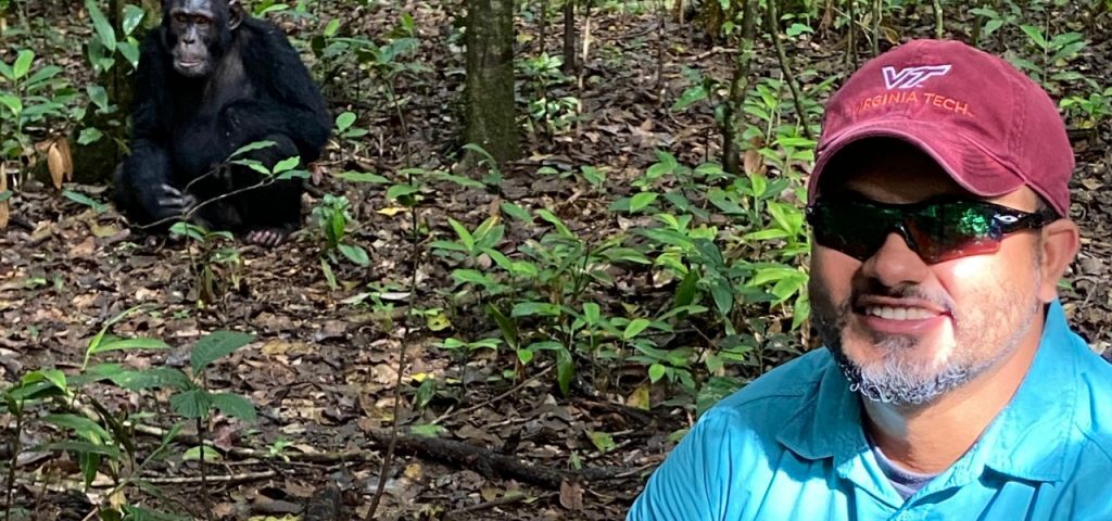 What Safety Measures Are Taken During Chimpanzee Tracking?