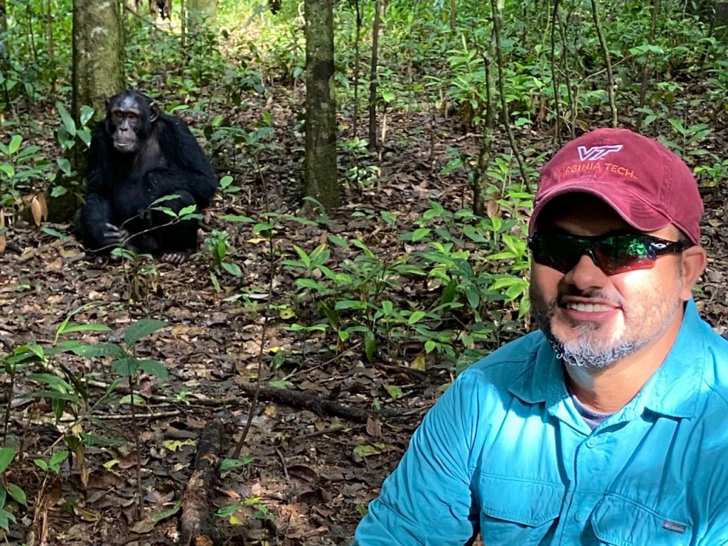 What Safety Measures Are Taken During Chimpanzee Tracking?