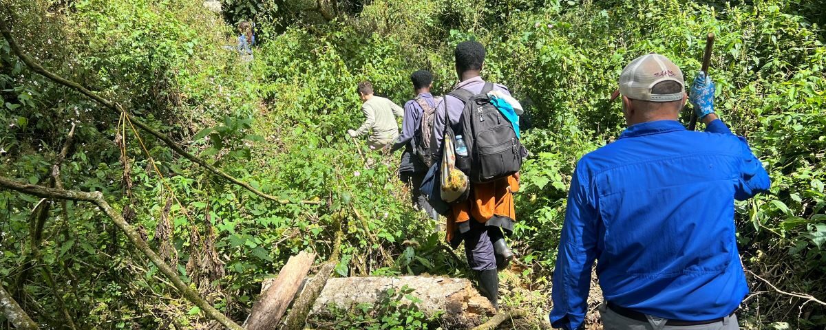 What Should I Know About Tipping on Safari?