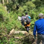 What Should I Know About Tipping on Safari?