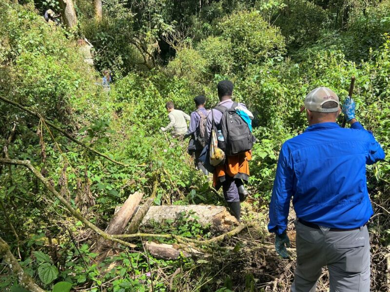 What Should I Know About Tipping on Safari?