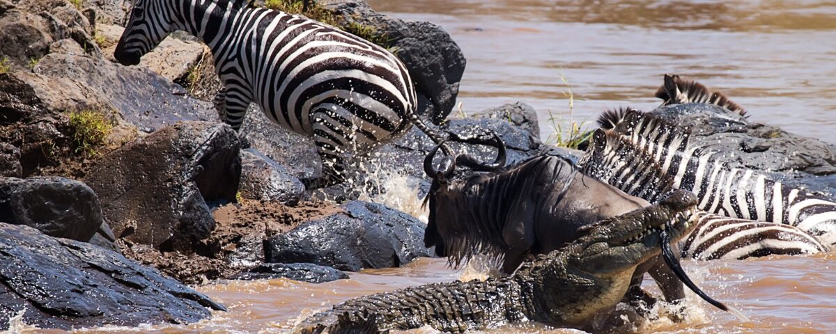 What is the best time for photographers?