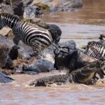 What is the best time for photographers?