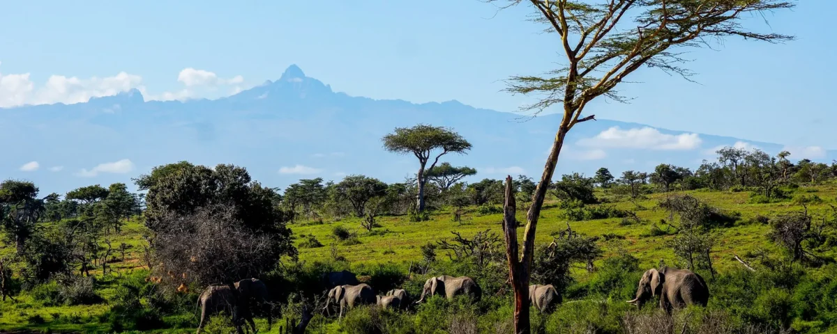What wildlife is found in Aberdare National Park?