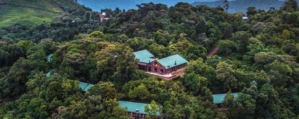 Clouds Mountain Gorilla Lodge
