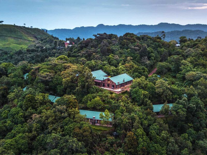 Clouds Mountain Gorilla Lodge