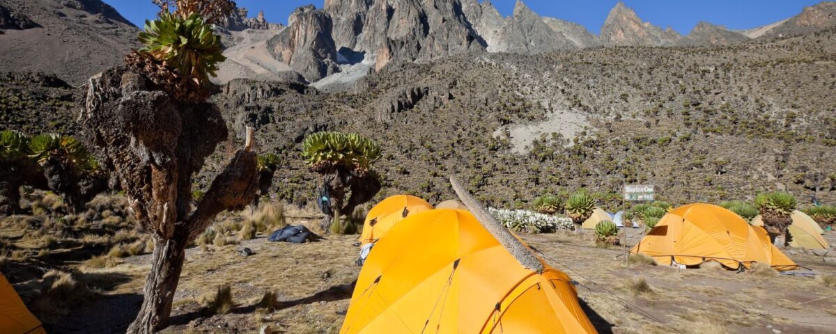 What activities are available in Mount Kenya National Park?