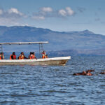 Lake Naivasha Boat Safari Rides