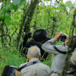 Can I Take Photographs During Gorilla Trekking